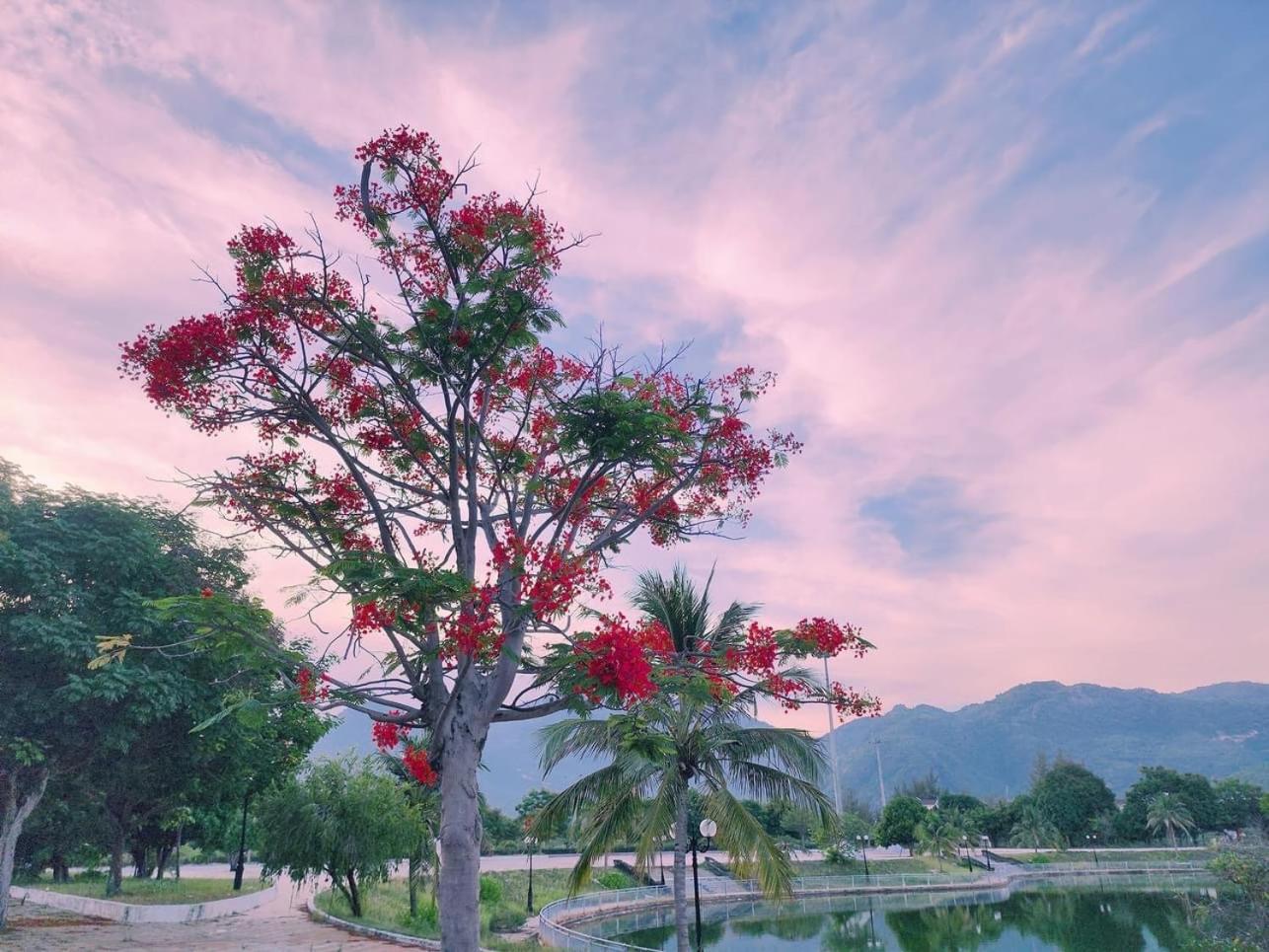 Moc Homestay- Near Bai Dai Beach Cam Lam Екстер'єр фото