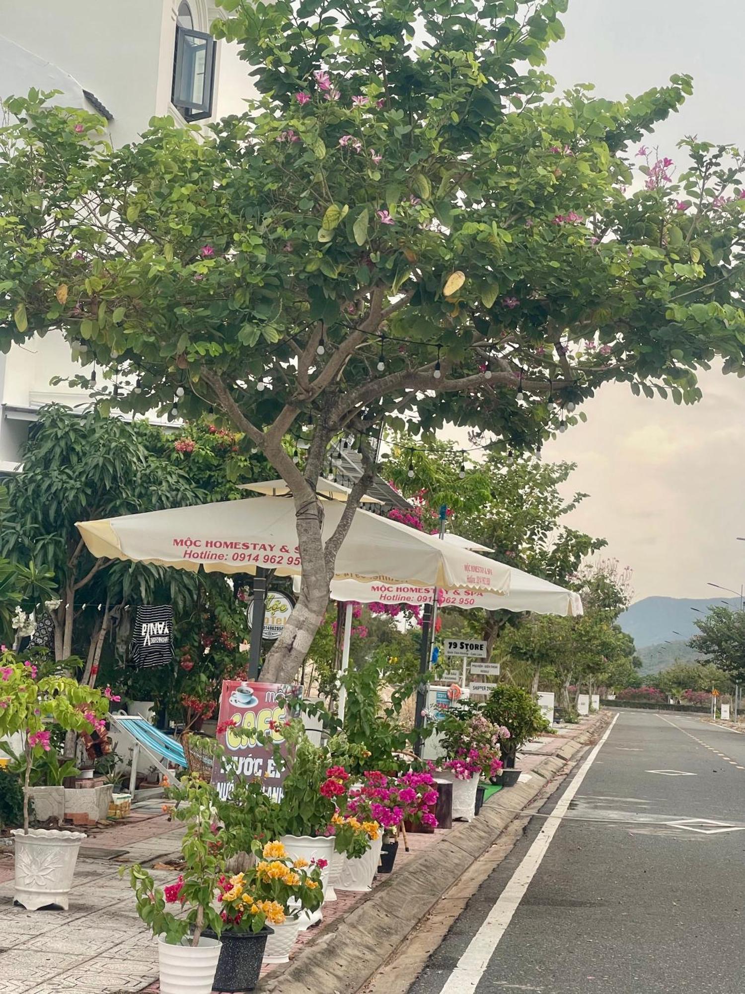 Moc Homestay- Near Bai Dai Beach Cam Lam Екстер'єр фото